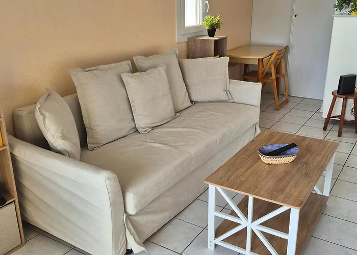 Appartement La Maison Du Mail, T2, Wifi, 300m De La Agde