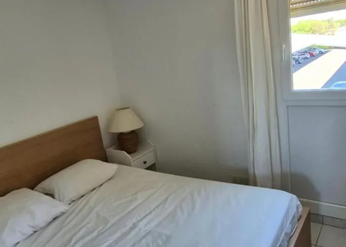 Appartement La Maison Du Mail, T2, Wifi, 300m De La *