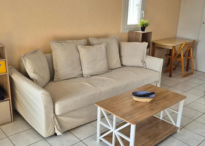 Appartement La Maison Du Mail, T2, Wifi, 300m De La *